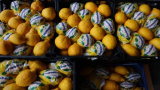 Sezonunda para etmeyen limonlar depoda çürüyünce kilosu 80 TL'ye çıktı