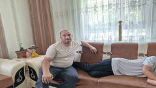 Çınarda köpek dehşeti