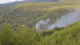 Çinedeki orman yangını kontrol altına alındı
