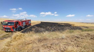 Çorumda 15 hektar ekili arazi yangında kül oldu