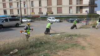 Darıca yaz temizliği