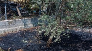 Defnede bahçede çıkan yangın büyümeden söndürüldü
