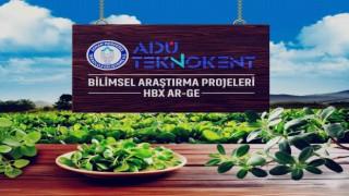 Değeri bilinmeyene semizotu, sağlık dostu çıktı