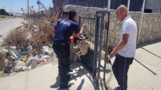 Demir kapıya sıkışan köpeği itfaiye ekibi kurtardı