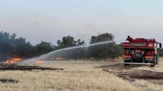 Denizlinin Bekilli ilçesinde çıkan yangın söndürüldü
