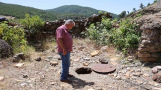 Depremde suyu çekilen kuyunun etrafındaki hayvanlar telef oluyor