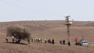 Diyarbakır ve Mardindeki yangının nedeni hakkında bilirkişi raporu bekleniyor