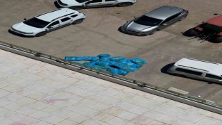 Diyarbakırda bir işyerinde yapılan aramada 296 kilo skunk ele geçirildi