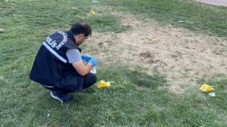 Diyarbakırda kardeşinin tabancayla vurduğu ağabey ağır yaralandı