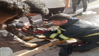 Diyarbakırda yangından kurtarılan kediye oksijen destekli müdahale