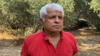 Doğa harikası Yeşilgölde beğeni uğruna doğa katliamına Prof. Dr. Gökoğlundan tepki