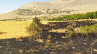 Doğanşehirde anız yangını