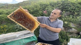 Dünyaca ünlü Anzer Balının bu yıl kilogram satış fiyatı 4 bin TL oldu