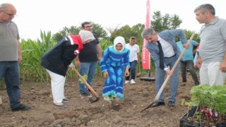 Düzceli kadın çiftçiler tarımsal yeniliklerle buluşuyor