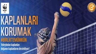 Eczacıbaşı Dynavitten Dünya Kaplan Gününe özel anlamlı proje