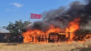 Edirnede ağıl ve tarım arazileri alev alev yandı