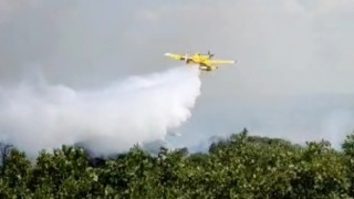 Edirnede çıkan orman yangını kontrol altına alındı