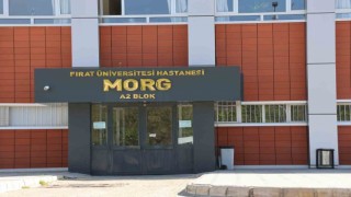 Elazığda araç şarampole yuvarlandı: 1 ölü
