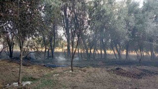 Elazığda bahçede korkutan yangın