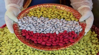 Elazığda bir ilk: Vişneli badem şekerinin ardından limonlusu yapıldı