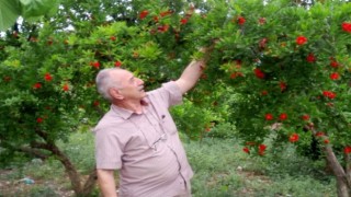 Emekli polis memuru tatil için geldiği Antalyada boğularak hayatını kaybetti