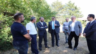 Enne Barajı Tabiat Parkına gençler için kamp alanı oluşturulacak