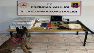 Erzincan jandarma suç olaylarına geçit vermiyor