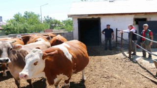 Erzincan Tarımdan küçük aile işletmelerine ziyaret