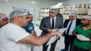 Erzincan Tulum Peynirleri soğuk hava depolarında bekleme süresini dolduruyor