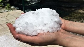 Erzincanda dolu yağışı sebze ve meyveyi vurdu