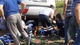 Erzincanda iki ayrı trafik kazasında 9 kişi yaralandı