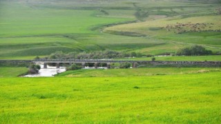 Erzurum mera ve çayır zengini