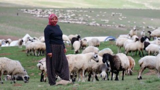 Erzurumda 3 bin rakımda 3 yüz çadır kurulu