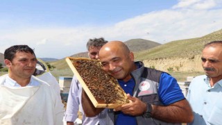 Erzurumda arıcılara ana arı üretimi öğretildi