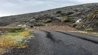 Erzurumda sel nedeniyle yol çöktü