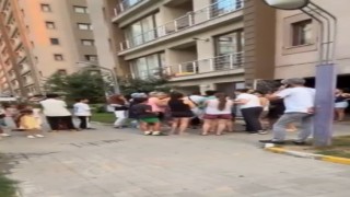 Esenyurtta kedi maması tartışmadı kamerada