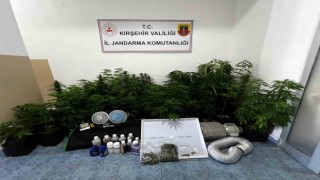 Evinde özel düzenekle kenevir yetiştiren kişi yakalandı