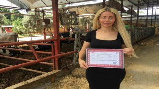 Gazeteciliği bıraktı hastalıktan ari çiftlik kurdu