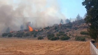 Gaziantepte çıkan yangında 30 dönüm ormanlık alan zarar gördü