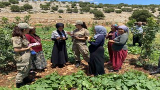 Gaziantepte jandarma KADES uygulamasını tanıttı