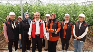 Gaziantepte seralara kadın eli değdi