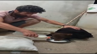 Gece yarısı kapısına gelen yavru ayıyı aç göndermedi