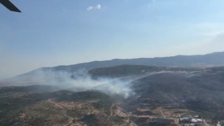 Gölmarmarada makilik alanda yangın