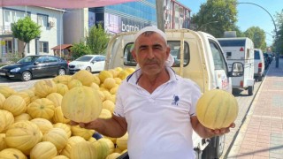 Gönen kavunu tezgahlarda
