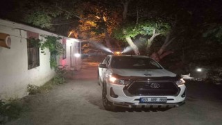 Hakkaride haşere ile mücadele devam ediyor