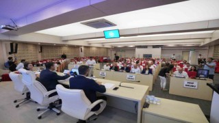 Halkın ve sokak hayvanlarının güvenliği için somut ilk adım atıldı