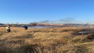 Hassada saman balyaları alevlere teslim oldu