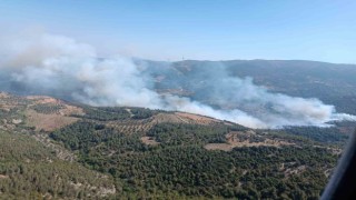 Hatayda orman yangını