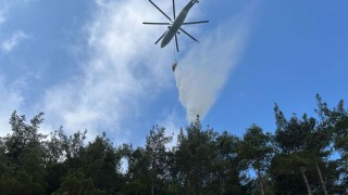 Hatay’da Orman Yangını Söndürüldü