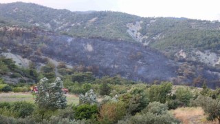 Havadan ve karadan müdahaleyle kontrol altına alınan yangında yaşananları muhtar anlattı
